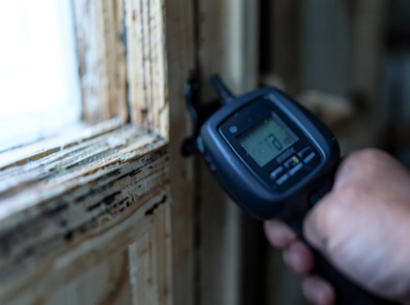Water Damage Restoration Young, AZ FAQs